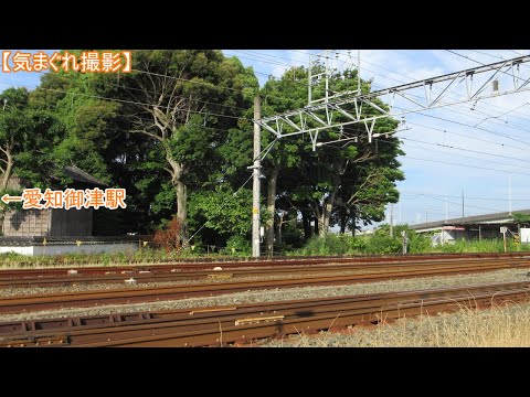 【気まぐれ撮影2024】愛知御津駅西方