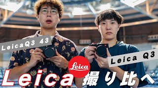 【Leica】Q3シリーズ撮り比べ！日常スナップ撮影に向いているのはどっち？