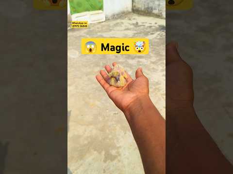 Fancy Pigeon Magic ✨ Growth Video // Sell Fancy Pigeon In Darbhanga #shots #shortsviral #darbhanga