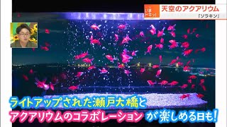 宇多津町いま推し！天空を舞う金魚＆夕方の四国水族館で涼む！｜市町村いま推し！（2022年8月12日放送）