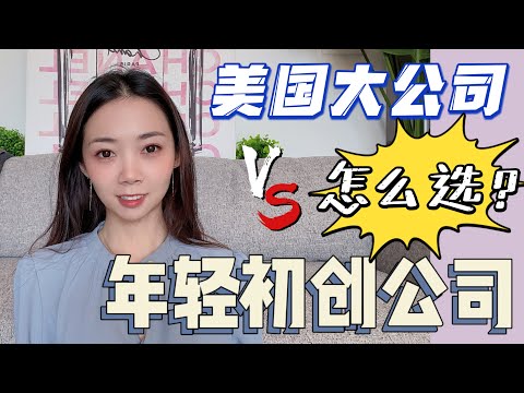 职场Talk3- 首份工作选择大公司还是初创团队？聊聊我在每个阶段都学到了什么｜北美职场-Nayi纽约倔强老阿姨