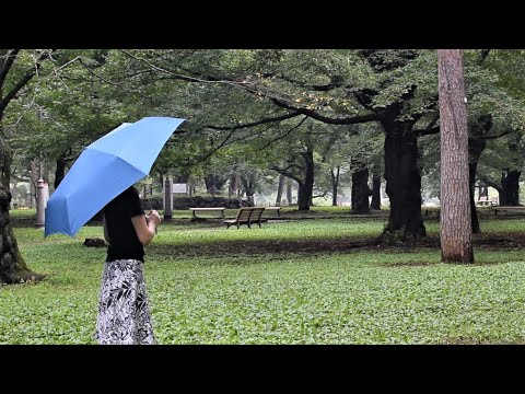 What is your umbrella? How to stay positive even if it’s raining