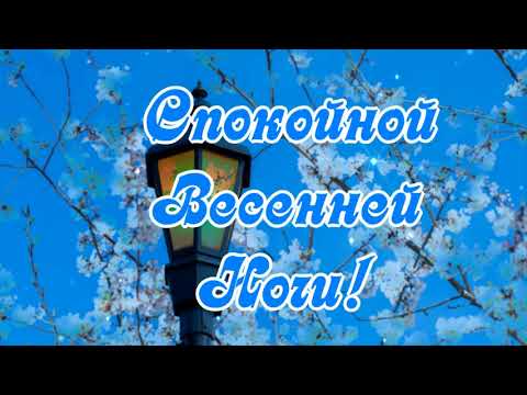 Спокойной Весенней ночи! С Весной!