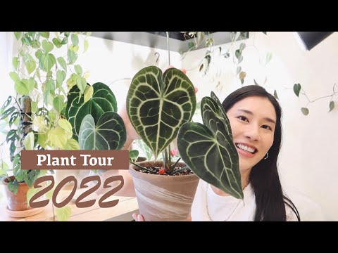 2022 金家植栽點名🌱🪴🌿Plant Tour 2022