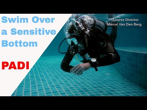 Swim Over Sensitive Bottom - PADI Open Water Diver Course • Scuba Diving Tips