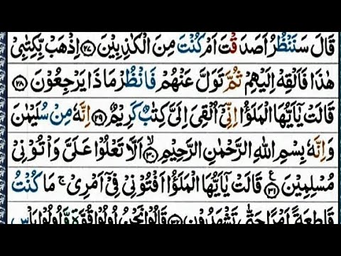 সূরা আন নামল | Surah An Naml | سورةالنمل/ হাফেজ ক্বারী আবু রায়হান/Holy Quran Tilawat