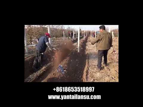 Small Plough Machine Cultivator Agriculture Farm Machinery Equipment gasoline tiller cultivators