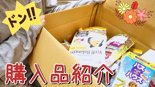 【大量】小動物29匹の為にペット用品まとめ買い🎵購入品紹介⭐️