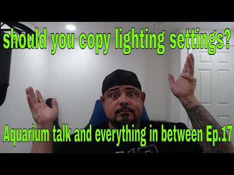 should you copy lighting settings?