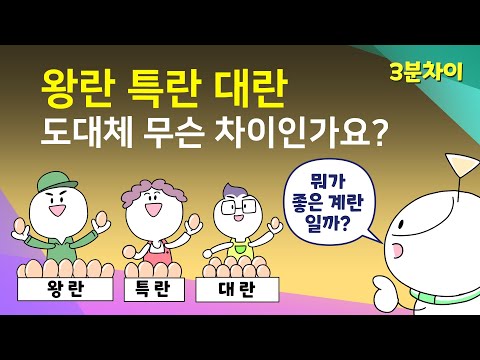 왕란, 특란, 대란의 차이는 무엇일까? | 계란 고르기