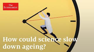 Longevity: can ageing be reversed?