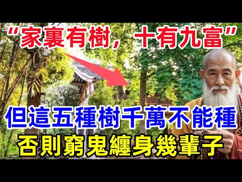 “家裏有樹，十有九富”，但這五種樹千萬不能種，否則人窮家也敗，窮鬼纏身幾輩子！