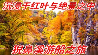 【岩手】乘船游览日本百景！为您介绍猊鼻溪的魅力