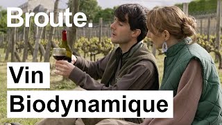 Vous prendrez bien un verre de vin bio dynamique ? - Broute - CANAL+