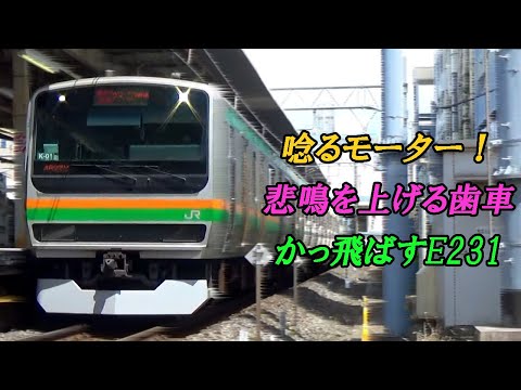 飛ばす！飛ばす！唸るE231系近郊型高速走行！