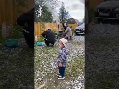 #live #baby #shortvideo #топ #like #лето #рекомендации #природа #сын #shorts #subscribe #short #funn