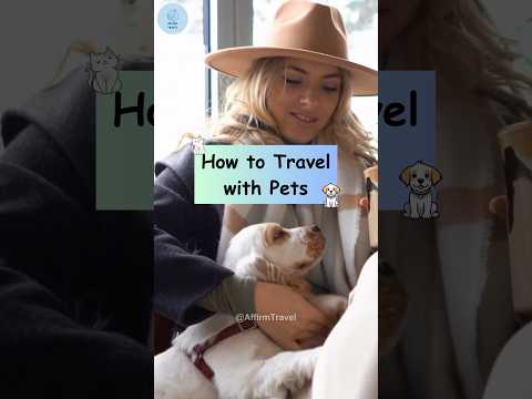 How to Travel with Pets 🚗🦮🐈 #shorts #travel #traveltips #travelwithpets