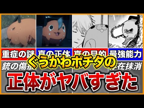 【チェンソーマン】クソかわいいポチタは何者？ポチタの全てを徹底解説！【ゆっくり解説】