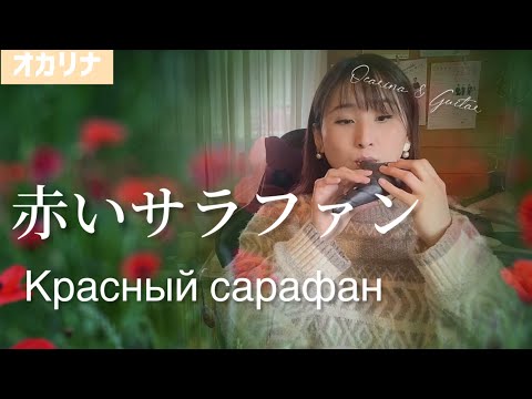 【オカリナ二重奏】赤いサラファン /A.ドヴォルザーク（Красный сарафан）【OCARINA & GUITAR】