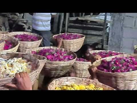 pooja with different flowers at #deepavali festival 2023 | ms world  #lakshmi