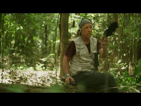 Mamirauá Reserve: A Legacy to Protect