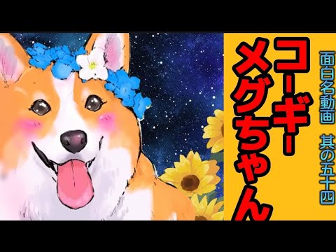 【世界の終わりに柴犬と】切り抜き編集 # 54  /メグちゃん集め/《メグだよ〜♪。》 #世界の終わりに柴犬と  #アニメ #柴犬