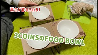 【FOOD BOWL フードボウル】3COINSで高さ調整できるFOOD BOWLを買ってみた(3ワンでお試し🐶🐶🐶)