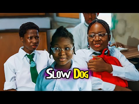 Slow Dog Mark Angel Comedy (Success In School)