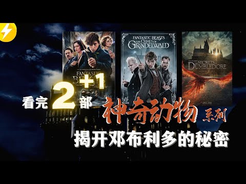 看完神奇动物系列1&2+3|揭秘邓布利多与格林德沃的故事【怪獸與牠們的產地】哈利波特前传