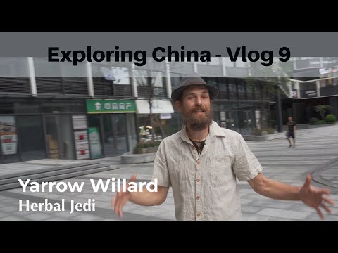 City of the future - China Vlog 9