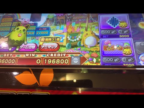 MAX36000ベットアニマロッタやります　メダルゲーム配信