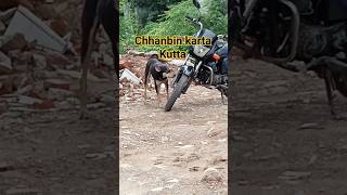 chhanbin karta kutta (sniffer dog)