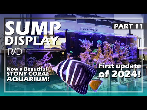 SUMP DISPLAY PROJECT AT F&J PROPELLERS IN FORT LAUDERDALE, FLORIDA. FIRST UPDATE OF 2024. PART 11.