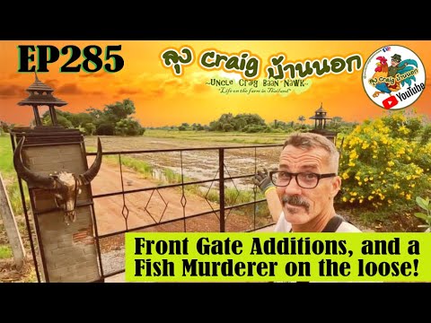 EP285 Front Gate Additions and a Fish Murderer on the Loose!