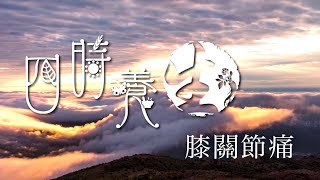 京都念慈菴六味地黃丸特約【四時養生】｜雙腳無力、屈膝困難「膝痺病」患者，可考慮飲用 巴戟杜仲牛膝豬骨湯 可以益補肝腎 舒筋活絡｜膝關節痛