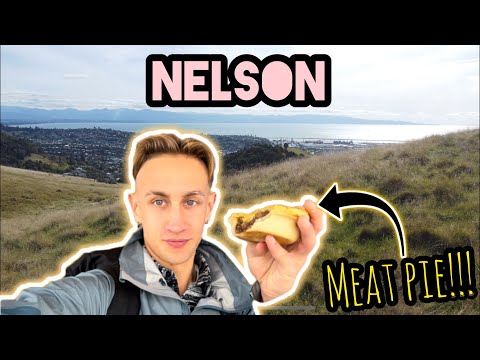 Hiking Codgers Trail in Nelson | Day in The Life | New Zealand