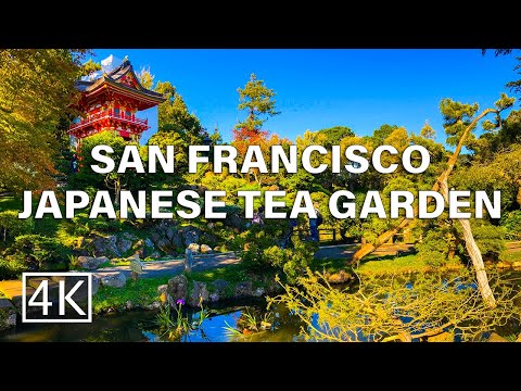 [4K] Japanese Tea Garden - San Francisco, California USA - Walking Tour