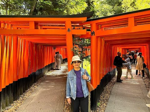 Japan Trip 2024 -Day 6- Kyoto- Fushimi Inari Taisha (Shrine with thousands of vermilion torii gates)