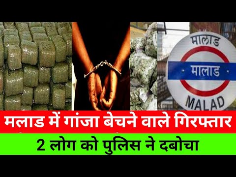 मुंबई मलाड में मालवणी में 2 लोग गांजा वाले गिरफ्तार|Malad Breaking news|Smart News India