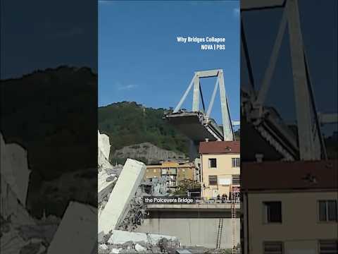 Survivors recount bridge collapse in Genoa, Italy #disaster #