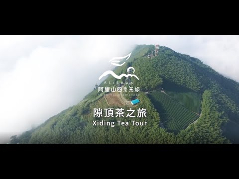 2021阿里山春季線上茶旅-隙頂 茶之旅-Alishan Tea Festival In Four Seasons