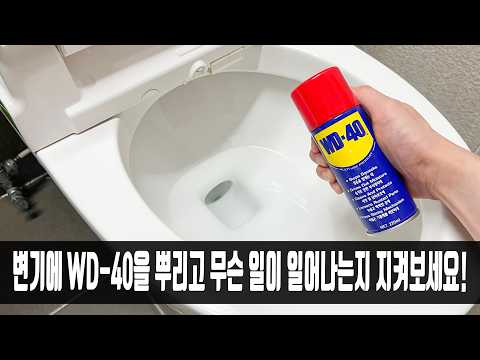 WD-40을 변기에 넣고 무슨 일이 일어나는지 지켜보세요! 제조사가 추천하는 생활에 활용하는 신박한 꿀팁