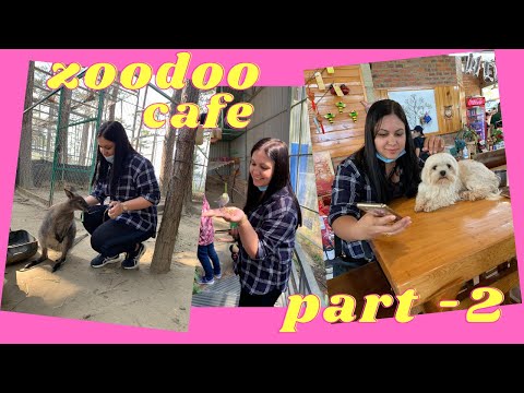 ZOODOO CAFE | PART 2 | DALAT | VIETNAM