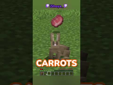 Minecraft, But I'm A Rabbit