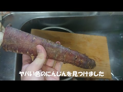 夏なのでカレー作ってみた【化石発掘】