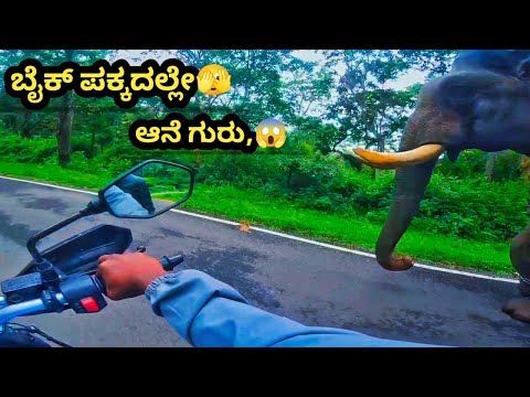 🐘ಆನೆ ನೋಡಿ ಎಲ್ಲಾ ಬಾಯಿಗೆ ಬಂದಿತ್ತು 😮😮|| elephant attack in k gudi wildlife forest 😮