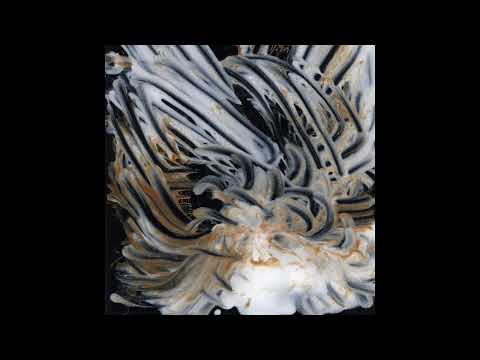 Kassel Jaeger || Le Lisse Et Le Strié (2019) Full Album