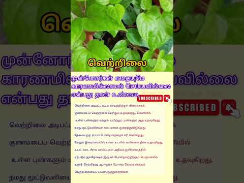 வெற்றிலை மருத்துவ குணங்கள் | Vetrilai benefits in tamil #shorts#tips #healthtips