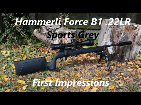 Straight Pull 22 Rimfire, Hammerli Force B1 .22LR Sports Grey, First Impressions