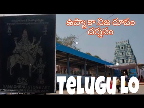 Upma ka darshanam in Telugu #viral #video #subscribe 🙏